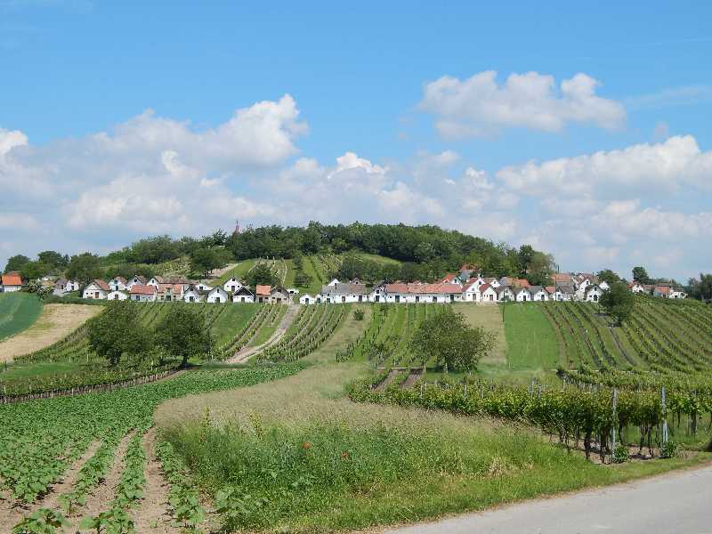 Galgenberg_2013_K.Hejna